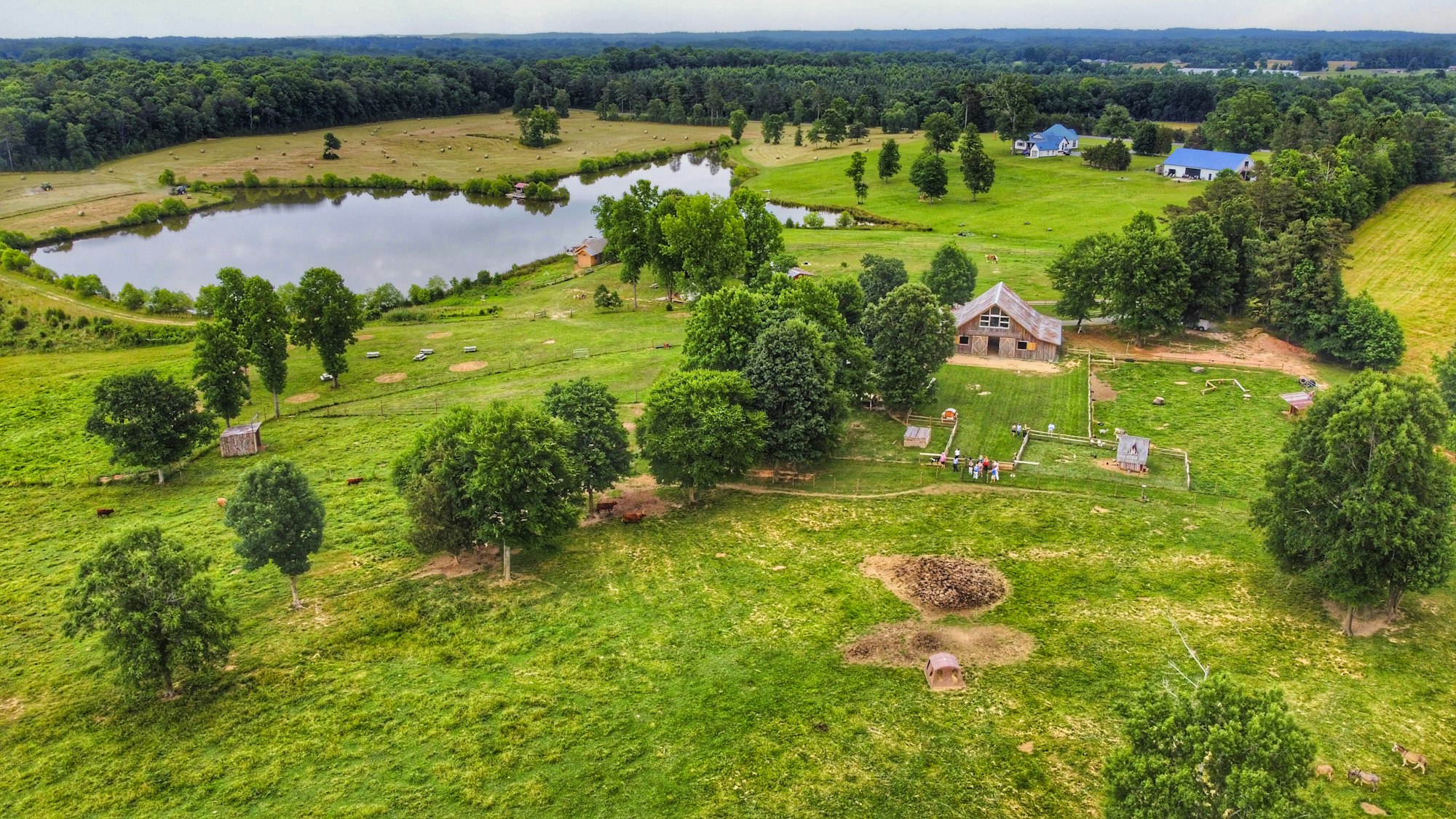 Open pasture in the North Carolina Piedmont
